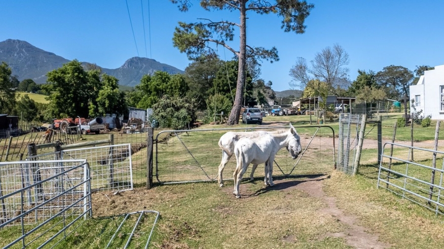 4 Bedroom Property for Sale in Ruiterbos Western Cape